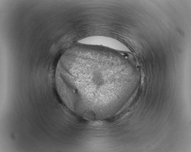 X0000116670181201001041136