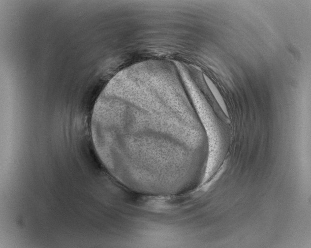 X0000116670182201001041136