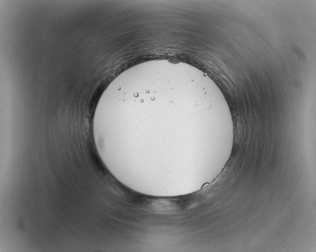 X0000116670183201001041136