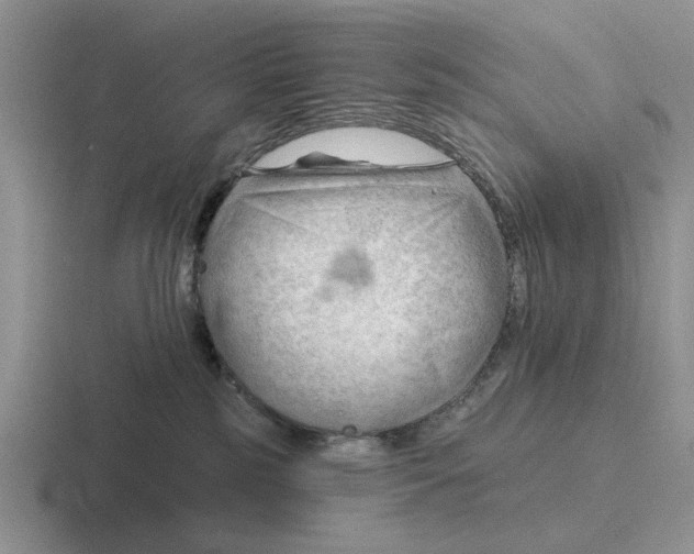 X0000116670185201001041136