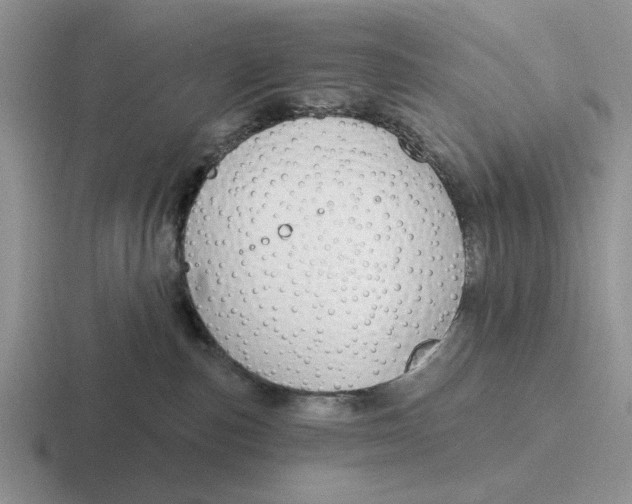 X0000116670187201001041136