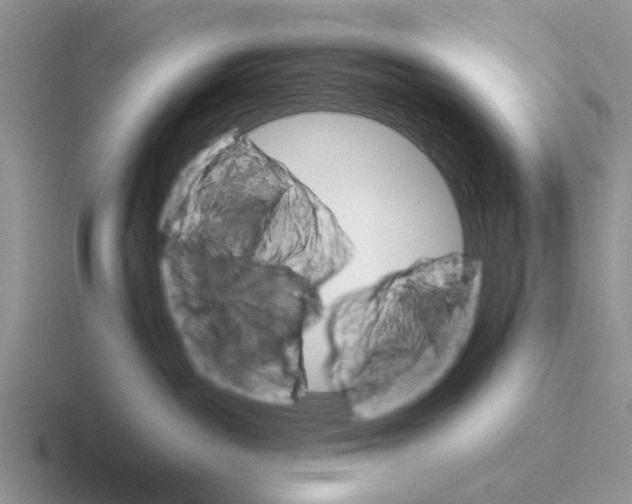 X0000116670189201001041136