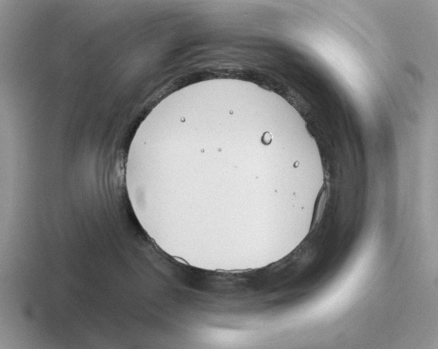 X0000116670190201001041136