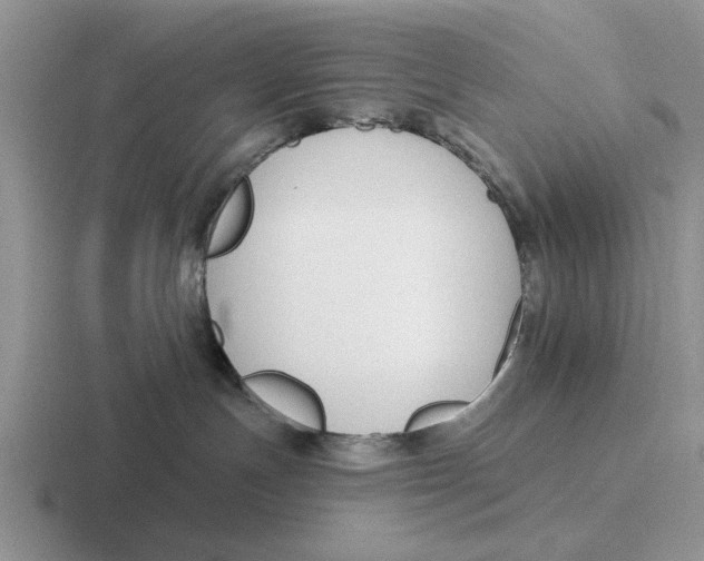 X0000116670191201001041136