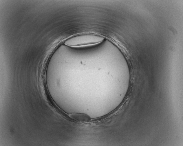 X0000116670193201001041136