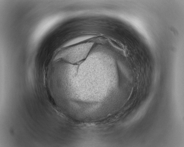 X0000116670194201001041136