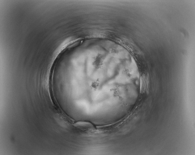 X0000116670195201001041136