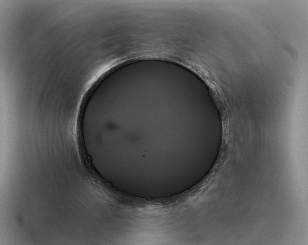 X0000116670196201001041136