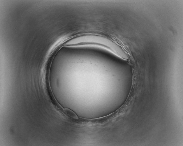 X0000116670197201001041136