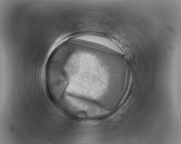 X0000116670198201001041136