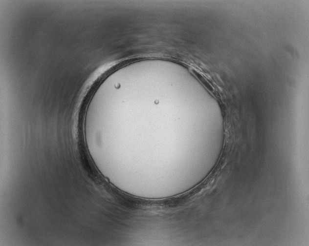 X0000116670200201001041136