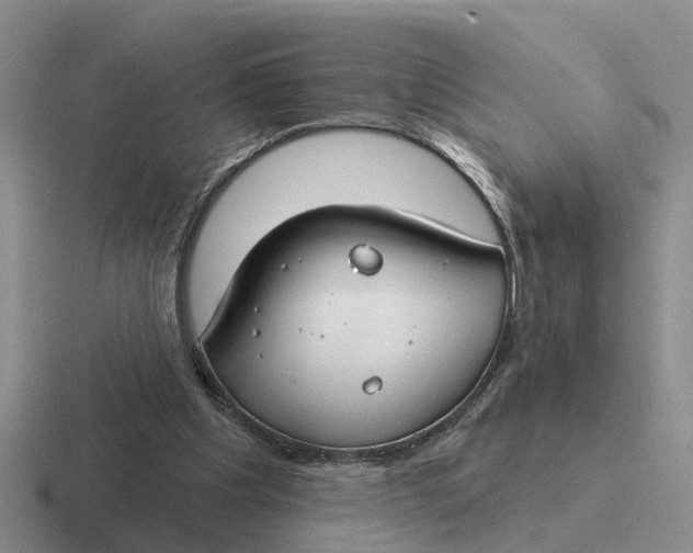 X0000116670201201001041136