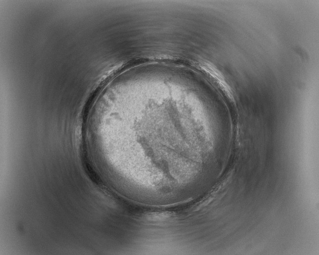 X0000116670202201001041136