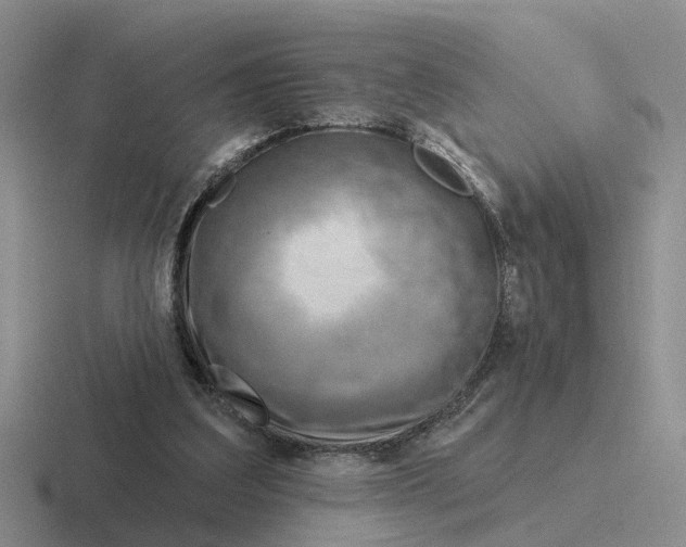 X0000116670203201001041136