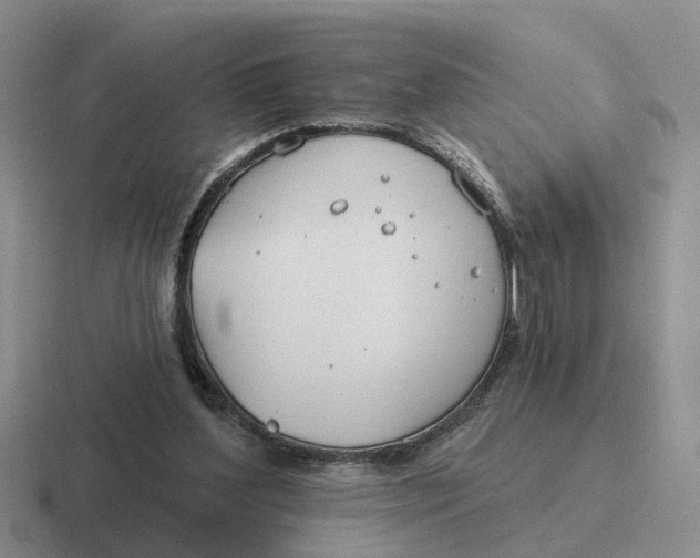 X0000116670204201001041136