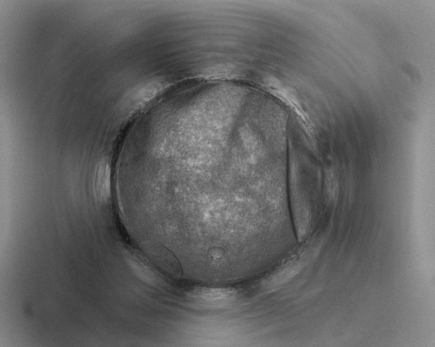 X0000116670205201001041136