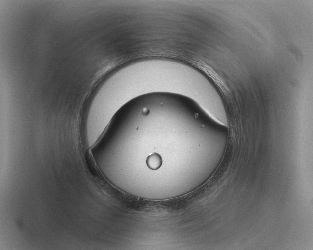 X0000116670207201001041136