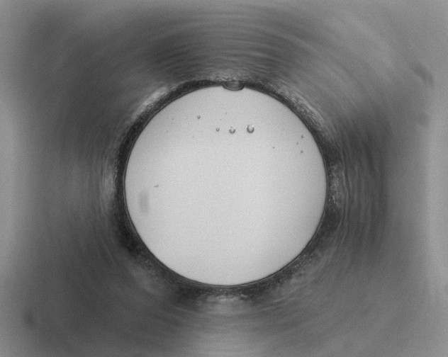 X0000116670208201001041136