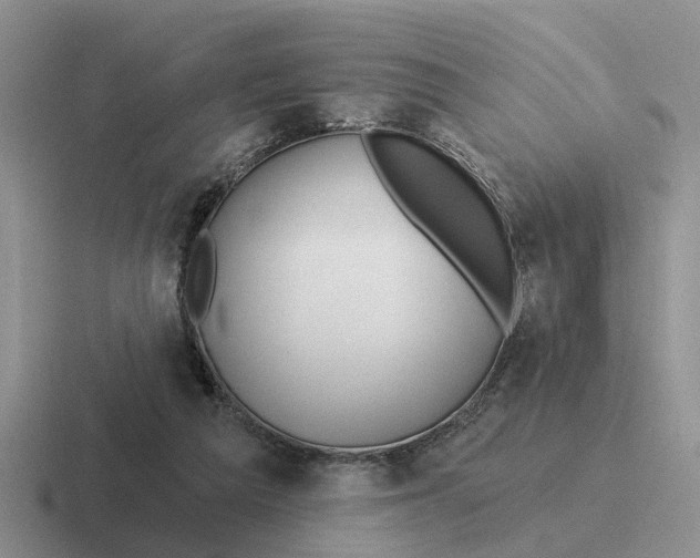 X0000116670209201001041136