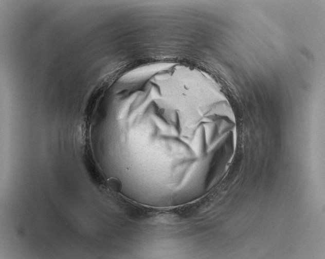 X0000116670210201001041136