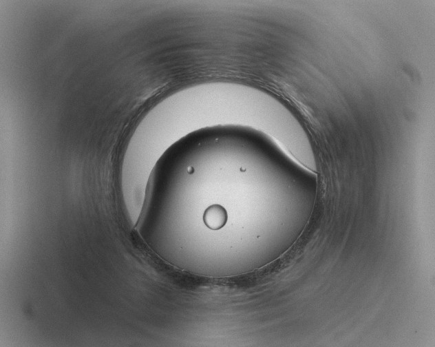 X0000116670211201001041136