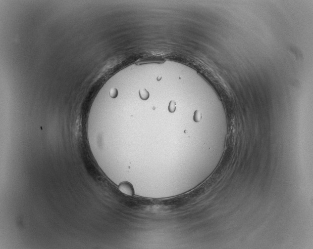 X0000116670212201001041136