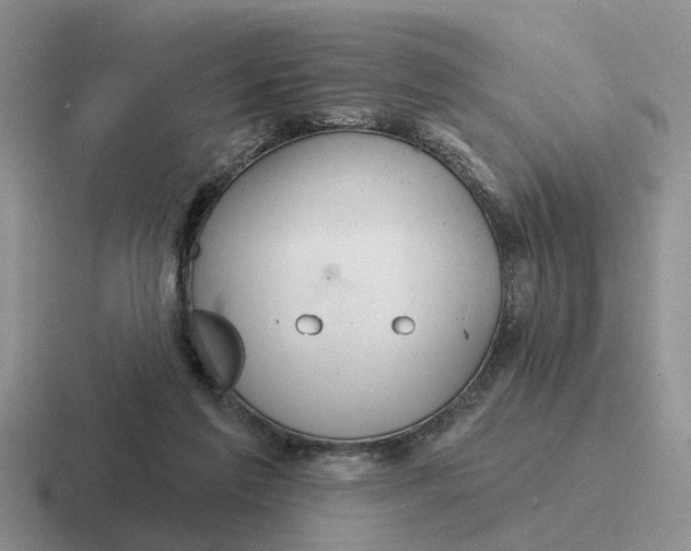 X0000116670213201001041136