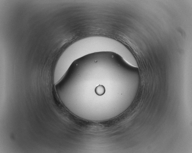 X0000116670215201001041136