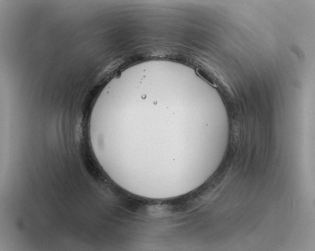 X0000116670216201001041135