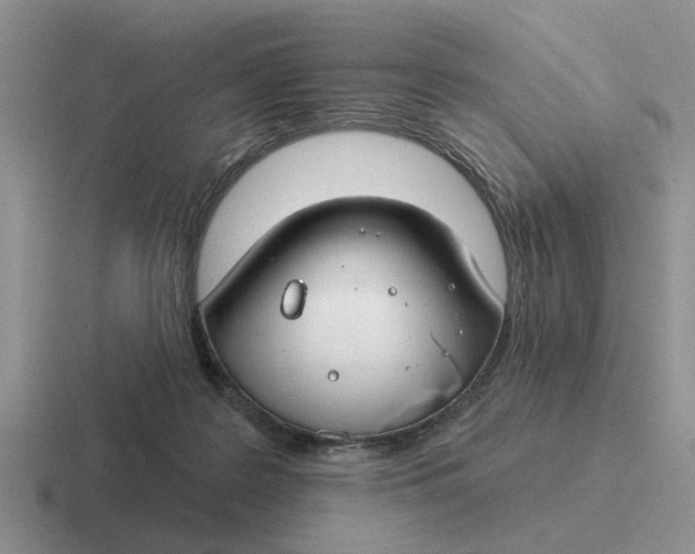 X0000116670219201001041135