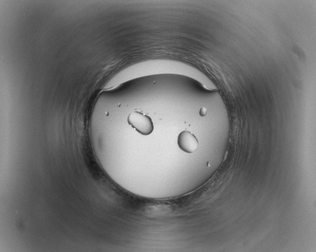 X0000116670220201001041135