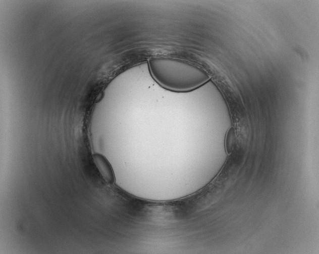 X0000116670221201001041135