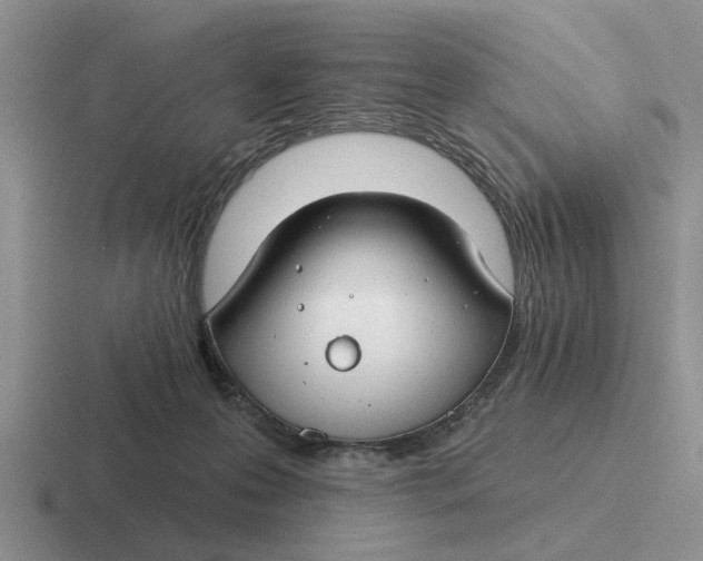 X0000116670223201001041135