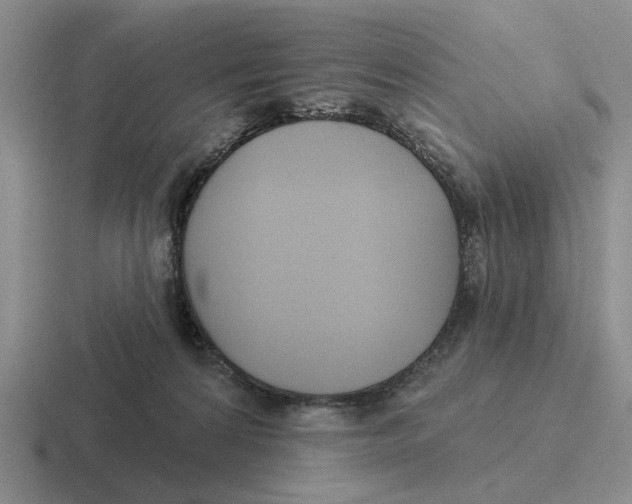 X0000116670224201001041135