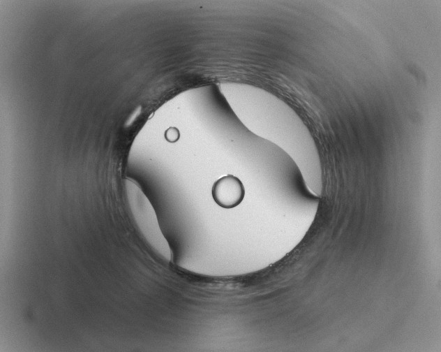 X0000116670225201001041135