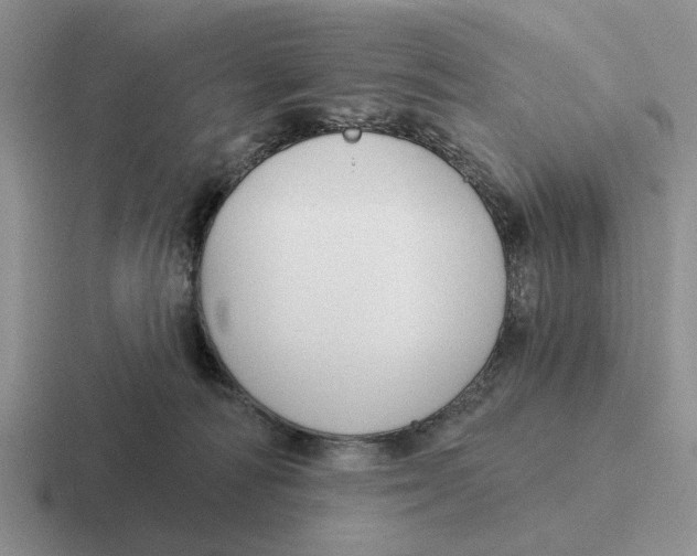 X0000116670226201001041135