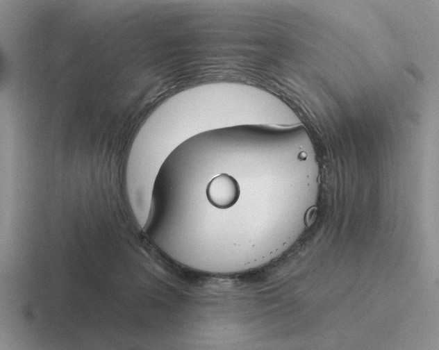 X0000116670227201001041135