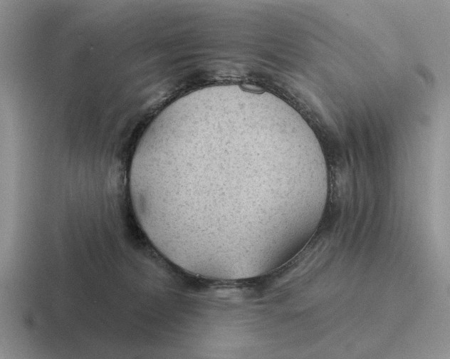 X0000116670228201001041135