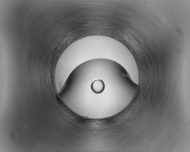 X0000116670229201001041135