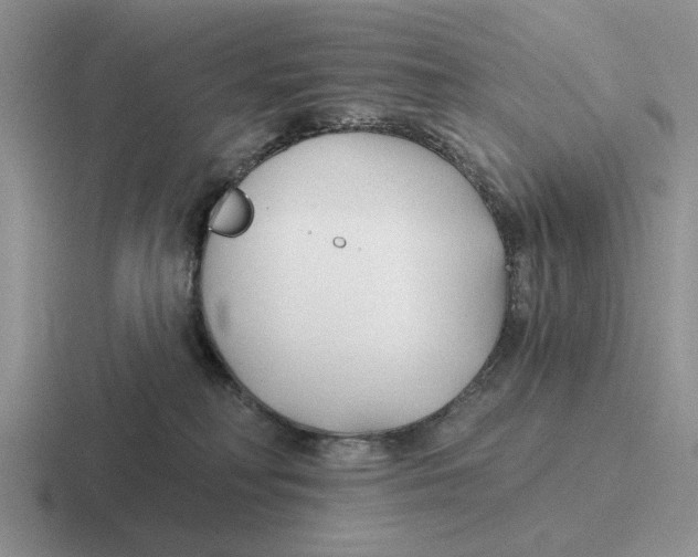 X0000116670230201001041135