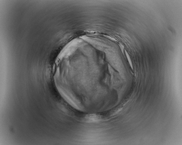 X0000116670231201001041135