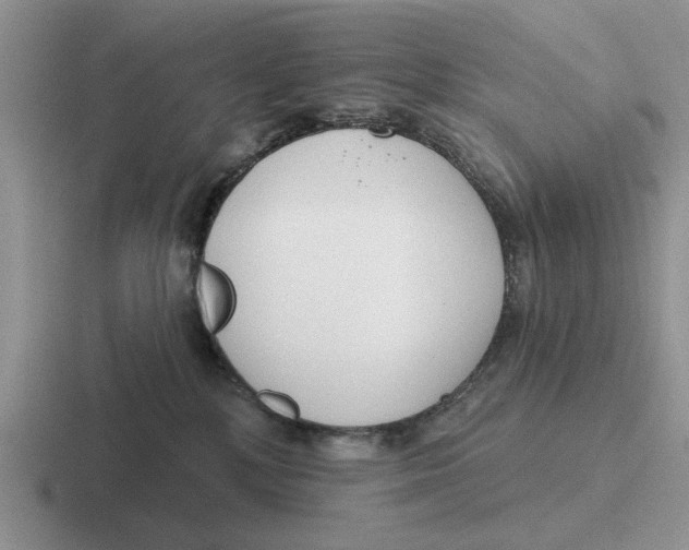 X0000116670232201001041135