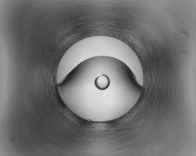 X0000116670233201001041135