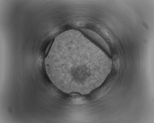 X0000116670235201001041135