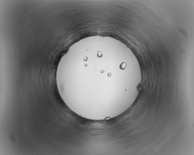 X0000116670236201001041135