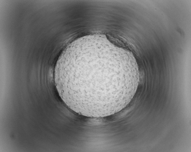 X0000116670238201001041135