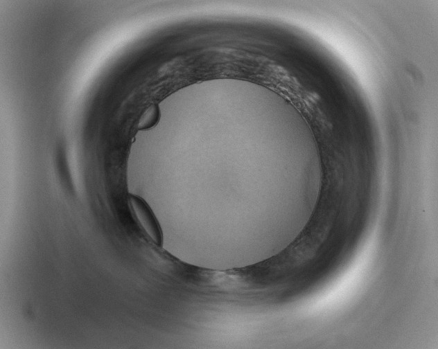 X0000116670239201001041135