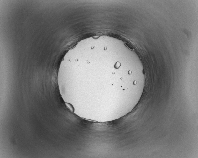 X0000116670240201001041135