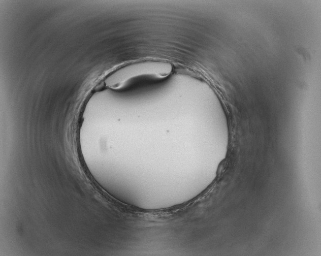 X0000116670241201001041135