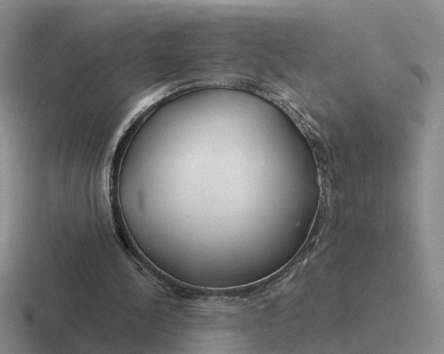 X0000116670244201001041135